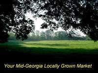 Your_mid_georgia_locally_grown_market