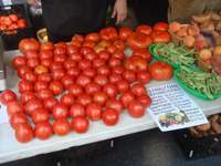 James_family_farm_tomatoes