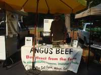 Sell_famr_angus_beef